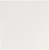 Double Point® Servetten 20x20cm | 100 stuks | 2 laags | Wit
