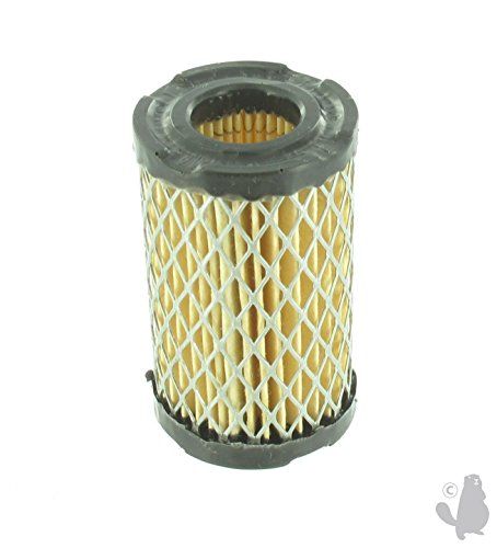 Greenstar 5489 Luchtfilter voor Tecumseh TVs/TC/PBX/H35/Spectra 37/40 71 mm