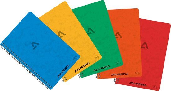 Aurora schrift aurora 105x160mm ruit 5mm 240pag ass | 20 stuks