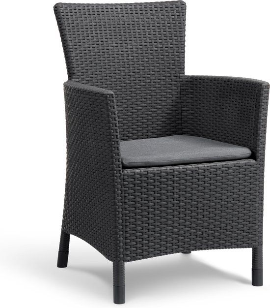 Allibert Iowa Tuinstoel - 60x62x89cm - Grafiet