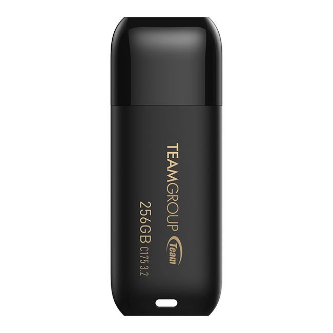 Team Group C175 USB-stick 256 GB Zwart