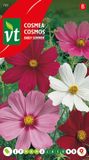VT Cosmea Early Summer - Vroege bloei met kleurrijke bloemen tot aan de eerste vorst