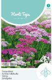 Hortitops Duizendblad Cerise Queen