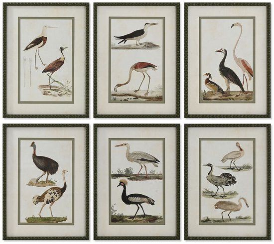 Home ESPRIT Schilderij Vogels Cottage 40 x 2,5 x 54 cm (6 stuks)