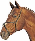 HKM Neusriem -Mexico- Paard Zwart