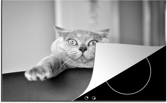 KitchenYeah® Inductie beschermer 77x51 cm - Angstige kat - zwart wit