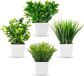 Unyqoos® set van 4 kleine kunstplanten in witte potten