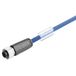 Weidmüller 2475250060 Sensor/actuator verlengkabel Aantal polen (sensoren): 5 0.6 m 1 stuk(s)