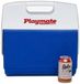 Igloo - Panier de pique-nique rétro glacière - refroidissement passif - 23 litres - vert - rose