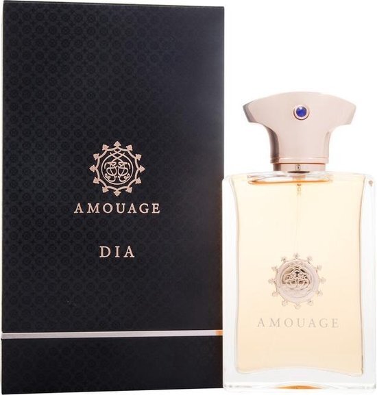 Amouage Dia eau de parfum / 100 ml / heren