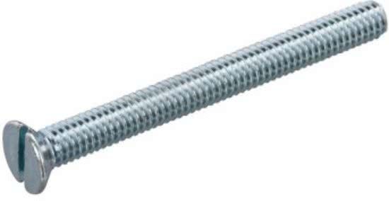 Hoenderdaal metaalschroef gegalv.pk. m3 x 30 mm din 963