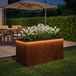 VidaXL Plantenbak met led roestkleurig 50 x 100 x 48 cm weervast staal
