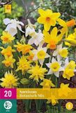 Jub Holland Narcissen Botanisch Mix bloembollen - 20 stuks