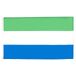 AZ FLAG Sierra Leone 90x60 cm Polyester Vlag