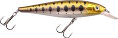 Spro Minnow Gold Trout 13 cm SF