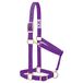 Weaver Leather Basic Verstelbare Nylon Halster, Paars, 1" Groot Paard