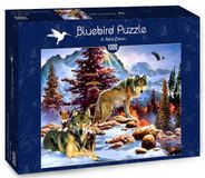 Bluebird Puzzle A New Dawn (1000) - Bluebird Puzzle Puzzle classique