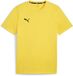 Puma Teamgoal Casua T-shirt à manches longues 658615