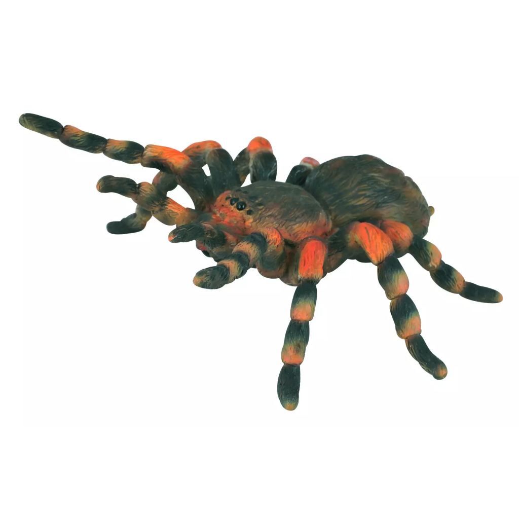 Collecta Insecten: Mexicaanse Roodknievogelspin 8 X 8 7 cm