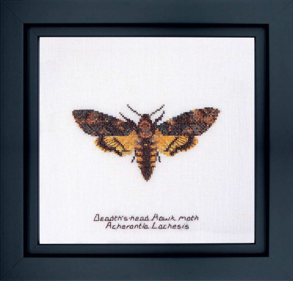 Thea Gouverneur Borduurpakket Doodshoofdvlinder 21 cm x 21 cm - DIY Kit