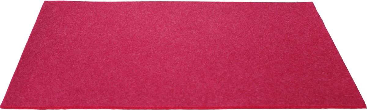 DAFF Fiberixx Placemat - Gerecycled Materiaal - 31x42 cm - Pink