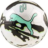 Puma Neymar Jr Graphic Lux Voetbal Maat 5 Groen/Wit/Zwart