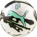 Puma Neymar Jr Graphic Lux Voetbal Maat 5 Groen/Wit/Zwart