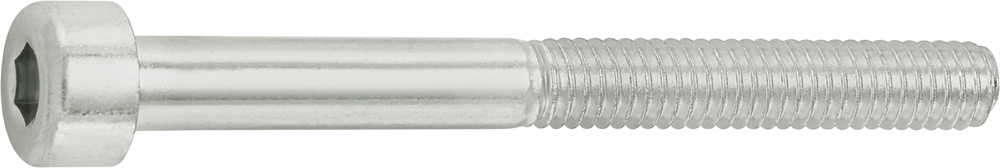 Connex KY4120440 Binnenzeskantbout Cy M4X40 12St Vz