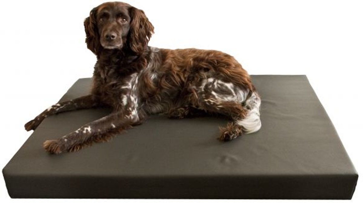 Hd orthopedisch honden ligbed grijs 100x75 cm