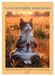 Funny CALVENDO Funny animalistic yoga poses (Wall Calendar 2027 DIN A2 portrait), CALVENDO 12 Month Wall Calendar: Asanas in the animal kingdom for yoga lovers