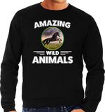 Bellatio Decorations Amazing Wild Animals Sweater Paard Zwart Heren S
