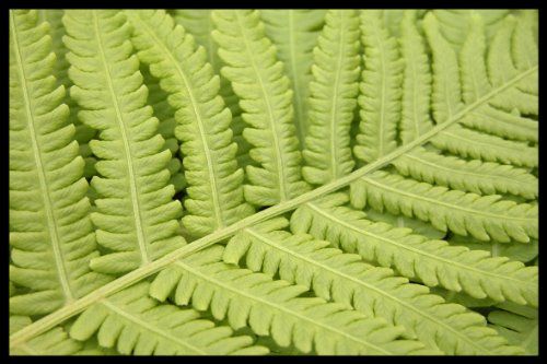 Digital Republic.Com 40329 deurmat, polyamide PVC, ftalaatvrij