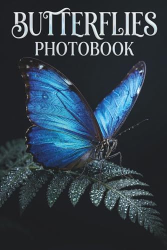 Ephemeral Symmetry: A Butterflies Photobook