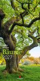 Bäume Ackermann Kunstverlag Bäume Kalender 2027