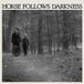 Konkurrent Delia Gonzalez - Horse Follows Darkness (CD)