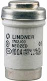 Mersen 01702.080000 Neozed zekering D03 80 A 400 V