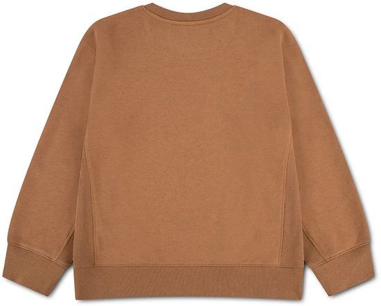 Levi's Kids Vintage Collegiate Sweatshirt Bruin 10 Jaar Jongen