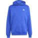 Adidas Hoodie Seasonal Essentials Monogram Graphic