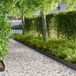 vidaXL Gazonrand 20 st 103 x 15 cm staal zwart