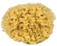 Croll en Denecke Croll & Denecke Natuurspons - 12 cm