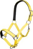 HKM Halster -Stars Softice- neongeel Full