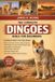 THE Dingoes The Complete Dingoes Bible for Beginners