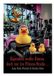 SOKO Aquapower Paperback