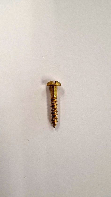 Hoenderdaal Fasteners Hoenderdaal Houtschroef Messing Blank BK ZS DIN96 3.5x12 mm (10 Stuks)