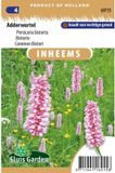 Sluis garden Adderwortel - Inheemse Bloemenzaden - 0.4 ml