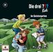 Die drei ??? Kids 89 - Im Geistergarten