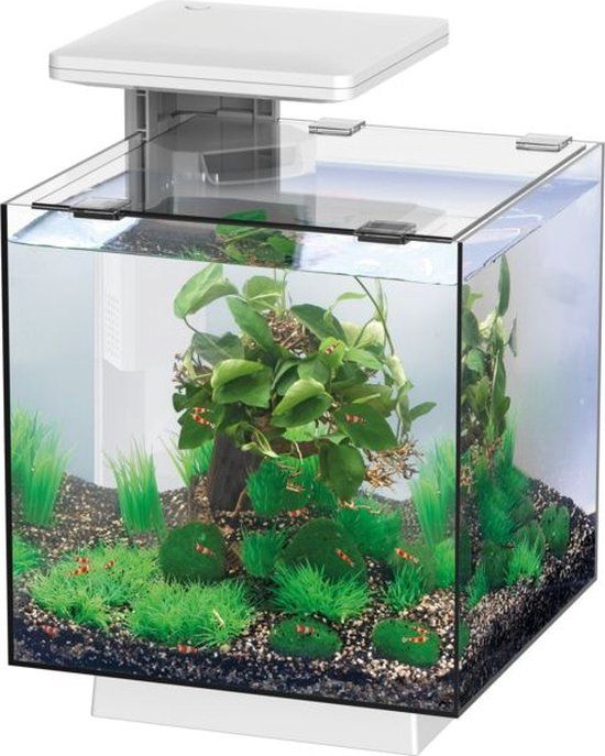 SuperFish Qubiq 15 LED Wit