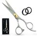 Ontaki Ciseaux de coiffure haut de gamme - Acier japonais - Argent - 16,5 cm