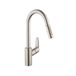 HG Focus HighArc Keuken w/PullDown 1,75gpm