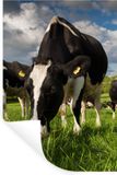 Merkloos Muurstickers - Koeien - Dieren - Gras - Weiland - Boerderij - 60x90 cm